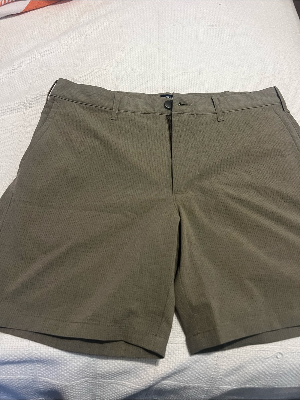 J. Crew Olive tech Men's Shorts